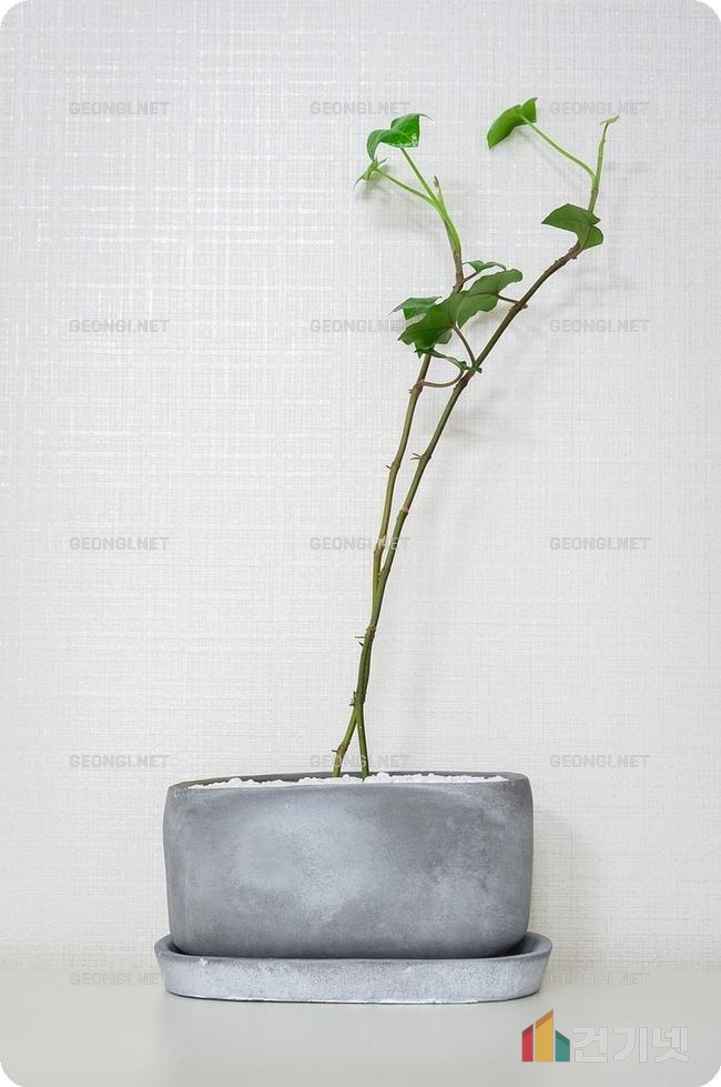 의왕 풀리페 아파트 리모델링, 공간 활용의 혁신과 품격