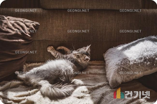 산본 한라하우젠트 아파트 인테리어, 전문가의 노하우로 완벽하게 변신하기