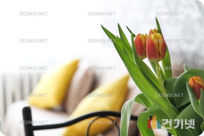 미사 휴먼시아 아파트 인테리어: 공간을 바꾸는 혁신적인 디자인 솔루션