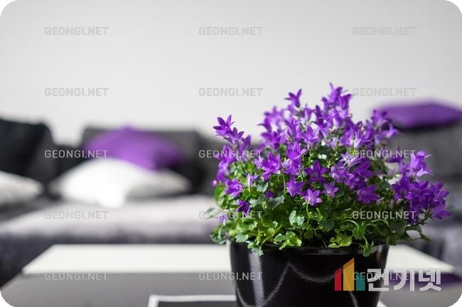 수지 NEUM 아파트 리모델링, 공간 활용 극대화 비법 공개